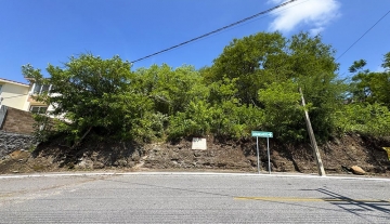 TERRENO CALLE SAN CARLOS MZA 17 LT 16 1.jpg